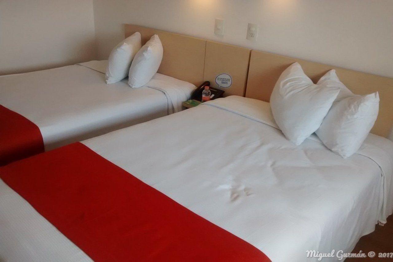 One Ciudad De Mexico Patriotismo Otel Dış mekan fotoğraf